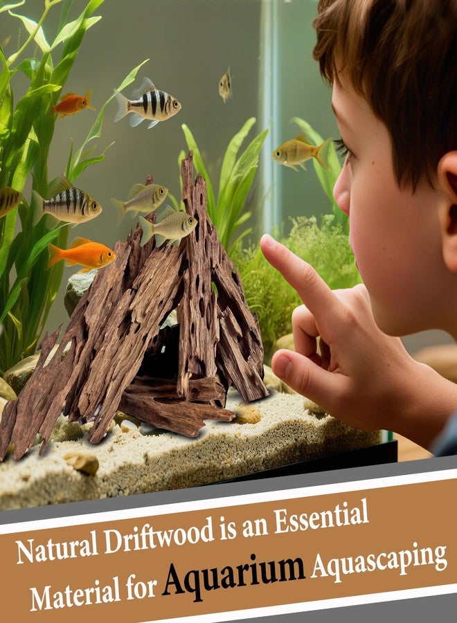 HEMYIS Natural Driftwood Branches for Aquariums&Reptiles-1.5lb,4-12in Length|Ideal for Aquascaping,Reptile Habitat Decor,and DIY Craft Projects (XM-Branches Medium 9 to 12 inch-1.5lb) - Image 5