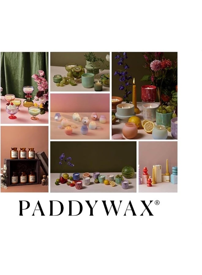 Paddywax Scented Candles Relish Collection Soy Wax Artisan Candle in Glass Jar with Lid 95Ounce Gardenia  Tuberose - Image 3