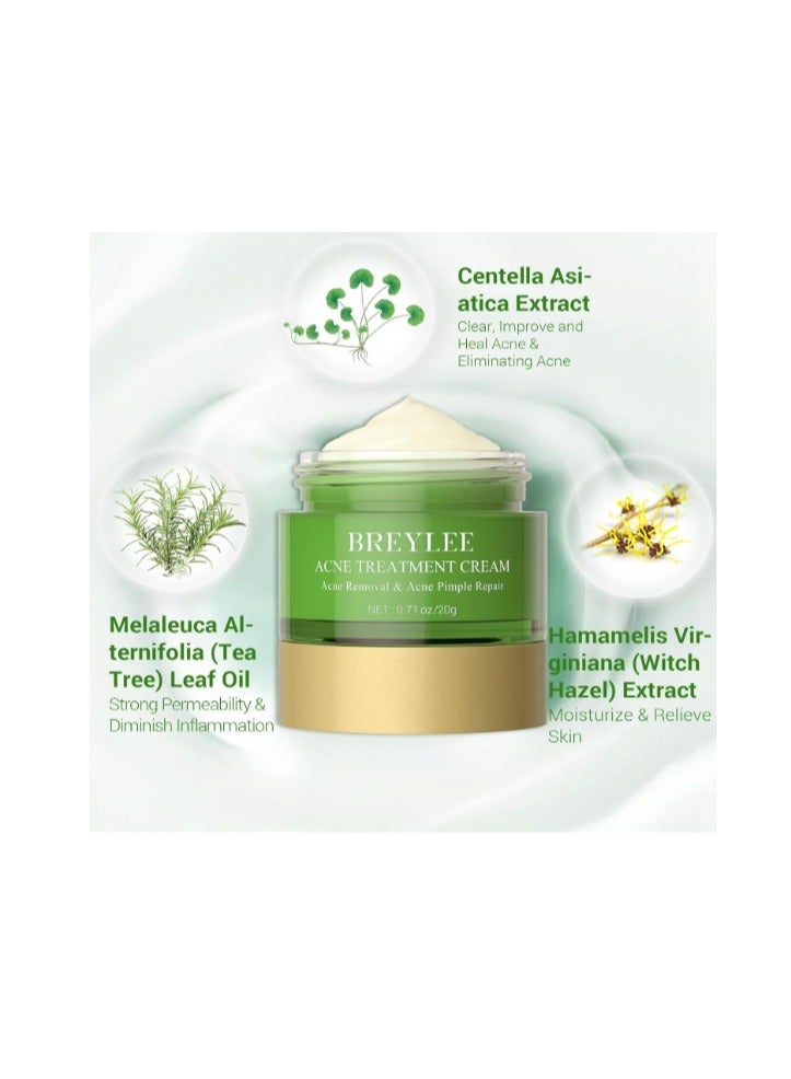 بريلي كريم علاج حب الشباب، كريم حب الشباب بزيت شجرة الشاي لإزالة حب الشباب الشديد والطفح الجلدي وإزالة البثور وإصلاح البشرة 20 جم - Image 3