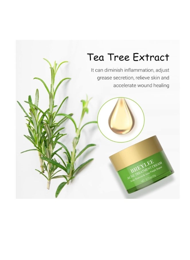 بريلي كريم علاج حب الشباب، كريم حب الشباب بزيت شجرة الشاي لإزالة حب الشباب الشديد والطفح الجلدي وإزالة البثور وإصلاح البشرة 20 جم - Image 4