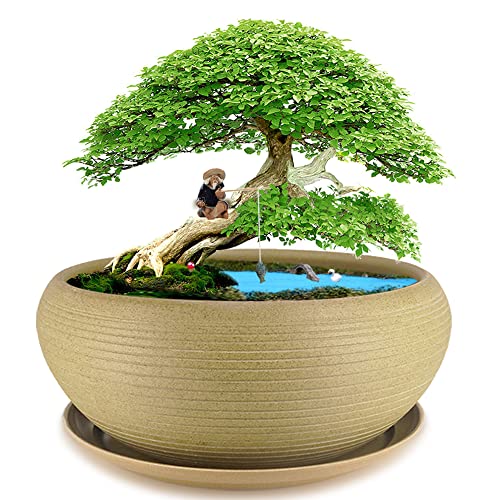 MUZHI 9.5” Round Large Ceramic Bonsai Bowl Planter，Clay Succulent Plant Pot Container with Saucer - Image 1