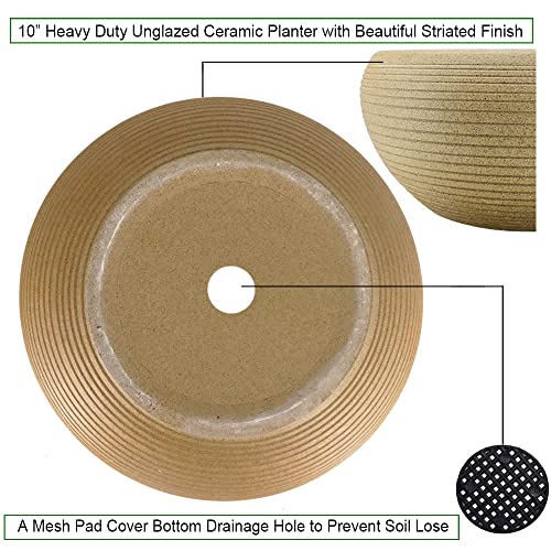 MUZHI 9.5” Round Large Ceramic Bonsai Bowl Planter，Clay Succulent Plant Pot Container with Saucer - Image 4