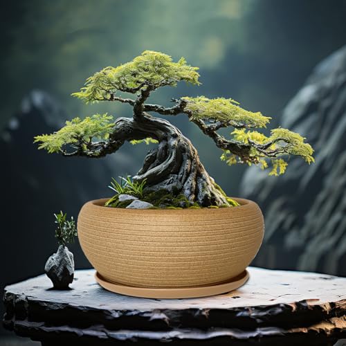 MUZHI 9.5” Round Large Ceramic Bonsai Bowl Planter，Clay Succulent Plant Pot Container with Saucer - Image 5
