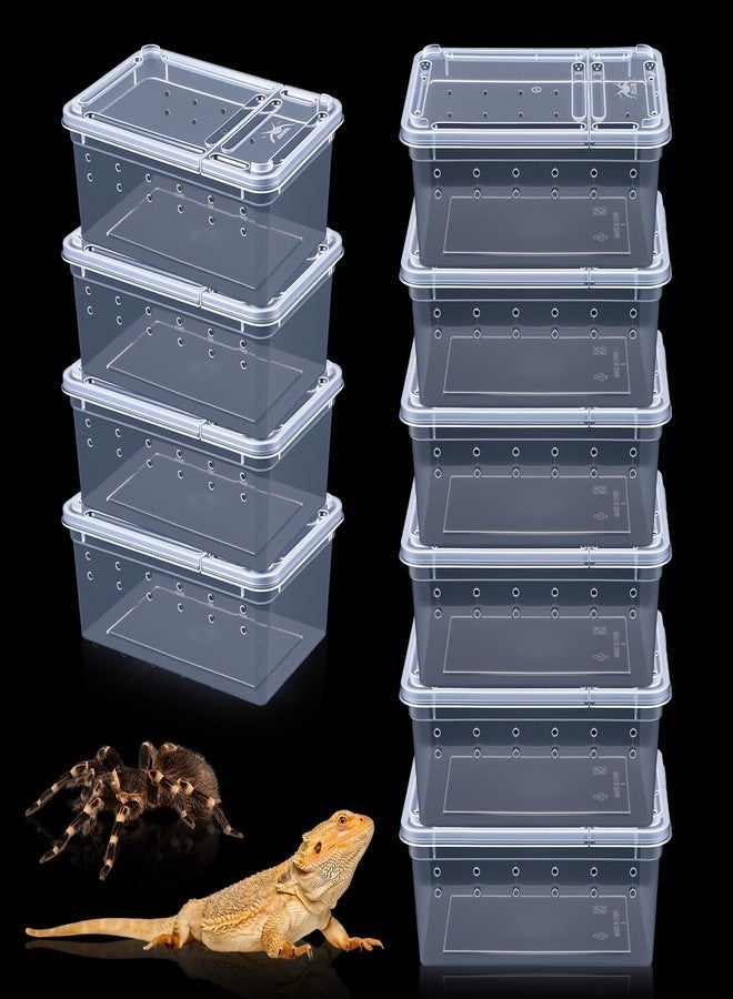 xozeooeu 10 Pcs Reptile Breeding Box, Clear Plastic Terrarium with Vent Holes, Small Animal Enclosure for Spider Scorpion Lizard Insect, 5.9x3.9x2.55 Inch - Image 1