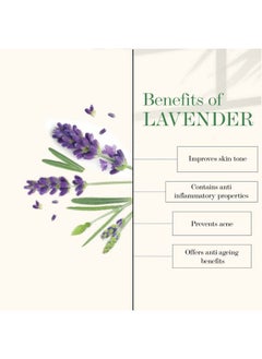 Lavender Softening Body Lotion 400 Ml + 100 Ml ; Moisturizing Nourishing Hydrating Lotion For All Skin Types ; No Parabens No Sulphates No Animal Testing - pzsku/ZC6927FF8F5BD4279512DZ/45/_/1690021427/bc852838-9720-431a-bd85-e4d215de3964