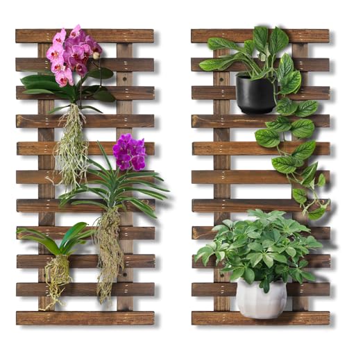 Mulctun 2 Pcs Wall Planters - 11.4"W x 23.62"H Wooden Wall Planters for Indoor Outdoor Plants,Hanging Wood Wall Trellis,Wall Mounted Plant Holder for Orchids,Succulent,Air Plants,Hanging Pots Display - Image 1