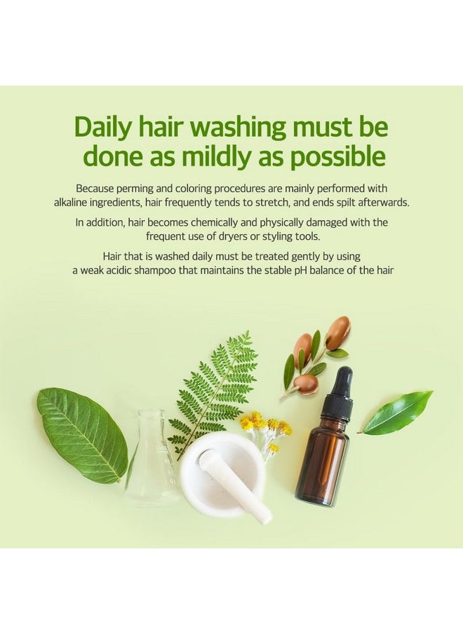 Kerasys Hair Clinic Tea Tree Oil 33.8 Fl Oz / 1L (Shampoo + Conditioner Set)  - Image 3