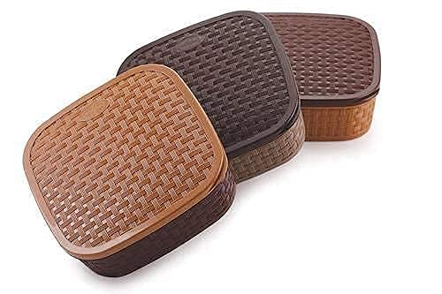WOX MOX WOX MOX Masala Rangoli Box Dabba for Keeping Spices Spice Box for Kitchen Plastic Wooden Style Masala Box Masala Container Masala DabbaMulti Color Pack of 1  - Image 4