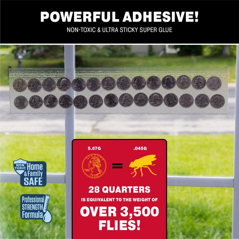 Catchmaster مصائد الذباب من كاتشماستر للنوافذ 12 حزمة XL، مصائد ذباب الفاكهة للداخل، مصيدة حشرات قابلة للتخلص منها، مصيدة لاصقة مقاومة للماء، شرائط لاصقة للذباب، مكافحة الآفات للمنزل والمطبخ والمرآب - Image 2