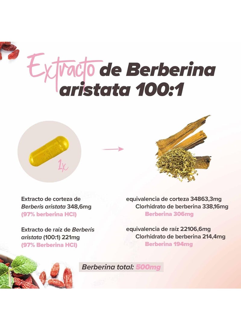 أتش أس أن - مركب بربارين 500 مجم - 120 كبسولة نباتية - Image 1