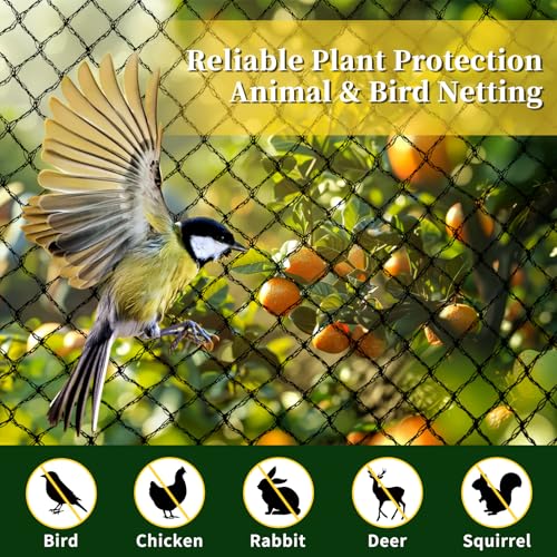Jvgoo Bird Netting for Garden 13 x 40 FT Bird Netting for Chicken Coop Heavy Duty Garden Poultry Net Mesh with Ties and Staples for Fruit Trees Vegetables Against Birds Deer Squirrels - Image 3