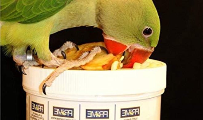 Hari Hagen Prime Parrot Vitamin, Mineral and Amino Acid Supplement for Seed Eating Birds, 1.1 oz - Image 3