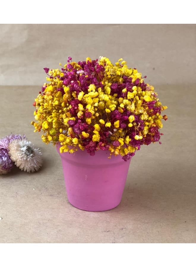 Pottery Plant Pot with natural immortal baby flowers - pink - 13*8 cm