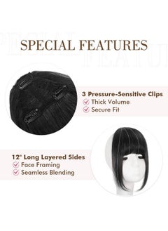 Bangs Hair Clip In Bangs 100% Real Human Hair 3 Secure Clips In Blunt Cut Full Fringe French Bangs Natural Thick Volume Black Fake Bangs With Temples Hairpieces For Women Daily Wear Black - pzsku/ZC69A8544353C4FA907B8Z/45/_/1721025126/a6b9525e-52b5-45d2-9015-09ded092b73b