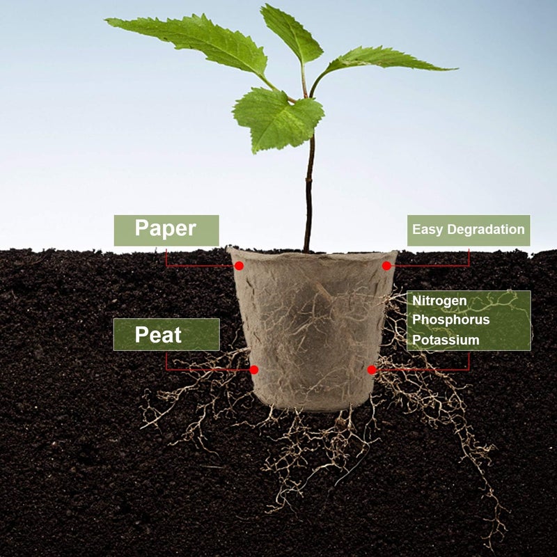 Augshy 100 Pack 2.4" Peat Pots for Seedlings Starter Nursery Pots Organic Biodegradable Paper Pots Herb Kit Eco-Friendly - Image 4