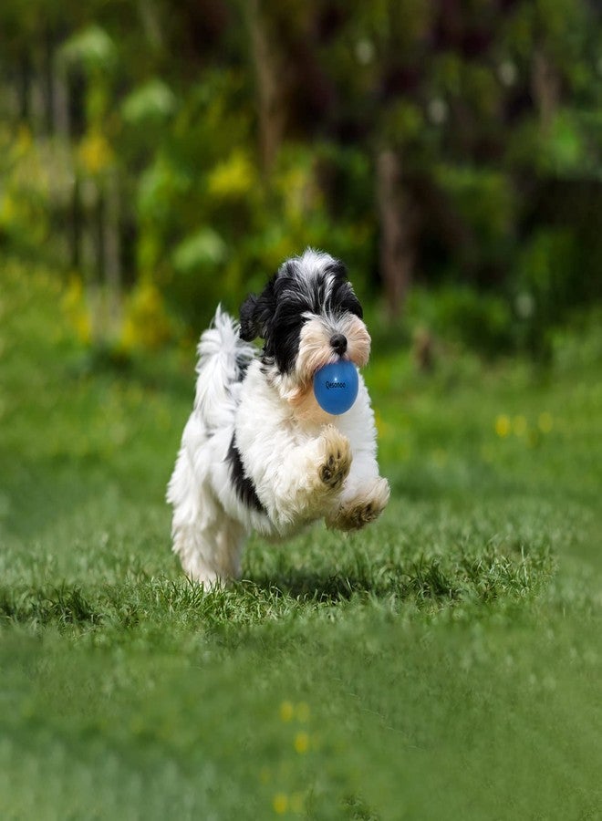 Qesonoo Dog Balls Indestructible,Solid Rubber Bouncy for Dogs Aggressive Chewers Small Breed,Non-Toxic&Floating&High Elasticity,Durable Fetch Ball Small to Chew,Play and Training - Image 3