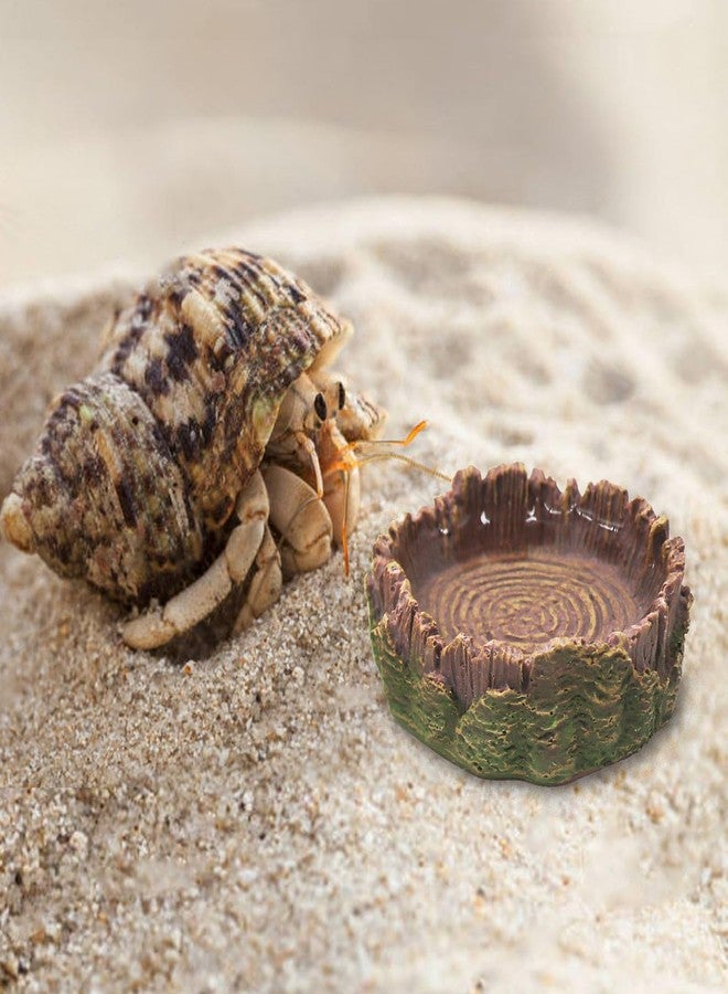 Neeenn 4 Pack Hermit Crab Water Dish Food Bowl, Resin Tree Trunk Reptile Feeding Bowls, Tank Aquarium Accessories for Bearded Dragon Leopard Gecko Lizard Tortoise Snail Toad Frog - 2.75 Inch in Diameter - Image 4