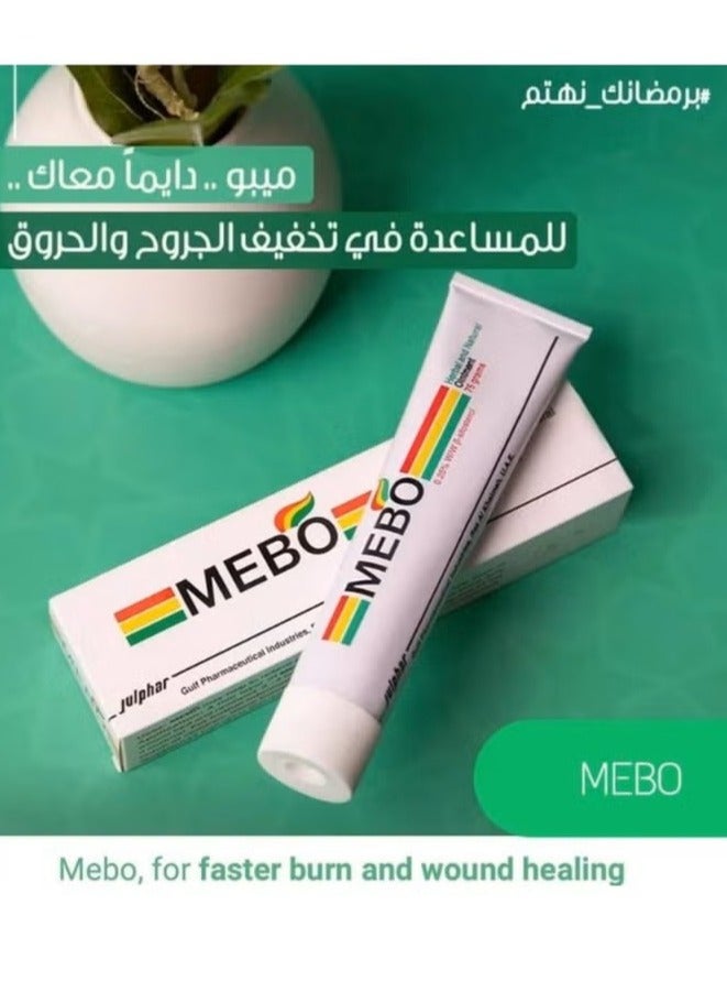Julphar Mebo Original Ointment for Burns and Wounds, Skin ULCers 15 GM - Image 3