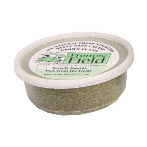 from The Field | Fine Ground Stalkless Catnip | Premium USA-Grown Catnip for Toys & Playtime | Fresh, Potent, Non-Toxic, Eco-Friendly | Safe for Kittens & Cats | Resealable 2 Oz Tub - Image 1