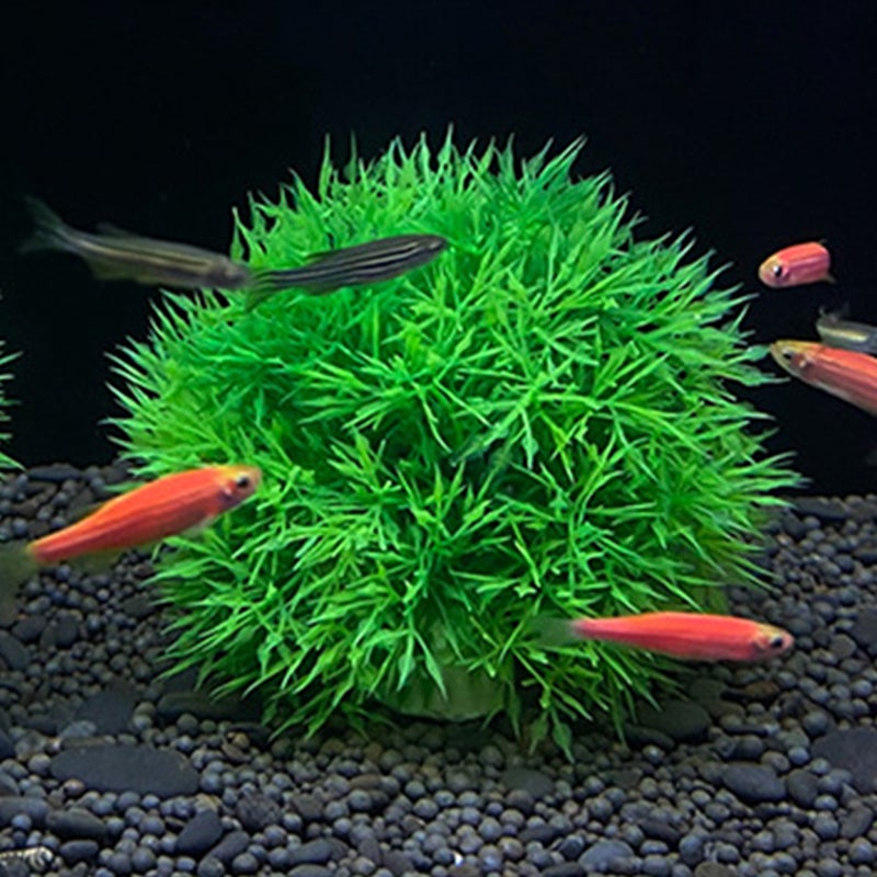 8 Pcs Aquarium Aquatic Plants Fish Landscaping Plants Aquarium Plants Decors - Image 5