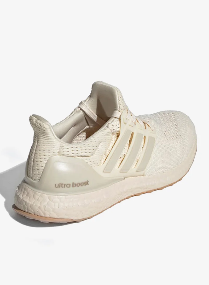 Adidas Ultraboost 1.0
