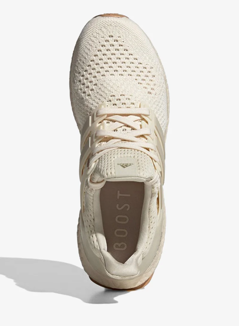 Adidas Ultraboost 1.0