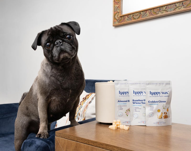Happy Wax Pet Scents Mix Premium Scented, Non Toxic, Pet Safe, Odor Eliminating, Dye-Free Soy Wax Melts â€“ 6 Total Oz: Almond Blossom for Dogs, Bamboo & White Tea for Cats and Golden Citrus for Pets - Image 2