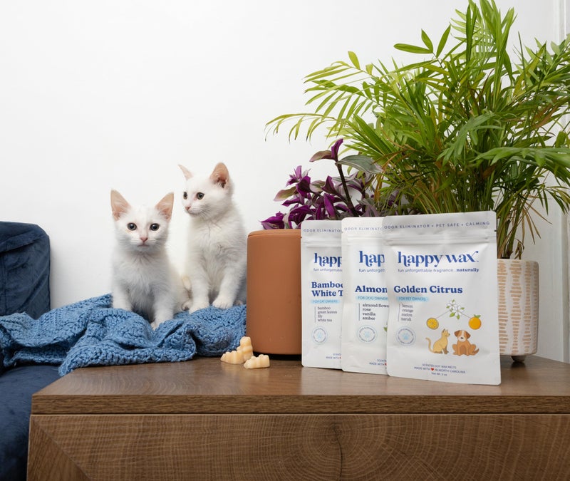 Happy Wax Pet Scents Mix Premium Scented, Non Toxic, Pet Safe, Odor Eliminating, Dye-Free Soy Wax Melts â€“ 6 Total Oz: Almond Blossom for Dogs, Bamboo & White Tea for Cats and Golden Citrus for Pets - Image 3