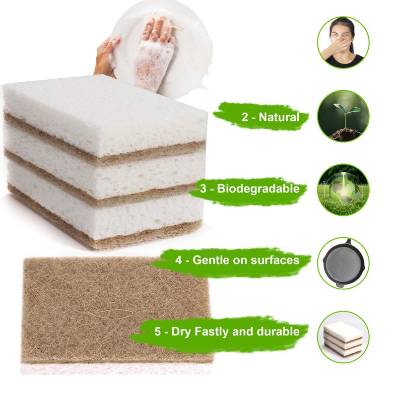 hasumcol Natural Sponges for Dishes 12 Pack - Keep Soap Biodegradable Kitchen Sponge Compostable Coconut Scrubber - Eco Friendly Cleaning Sponges - Image 2