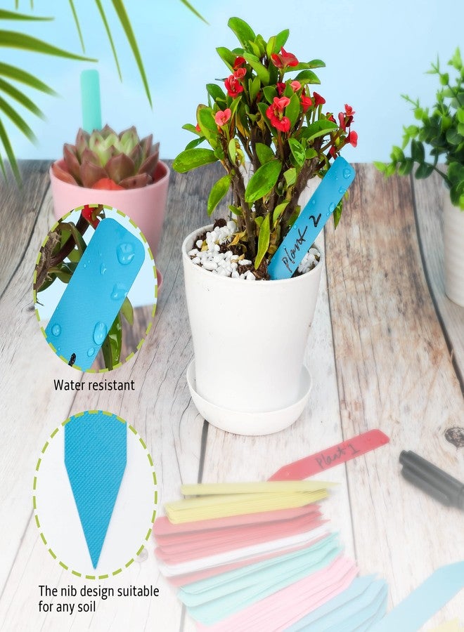 TDHDIKE Plant Labels 500Pcs 4 Inch Plastic Plant Name Tags for Seedlings Garden Labels Markers Nursery Plant Tags Seed Labels for Outdoor Garden Plant Label Stakes with Permanet Marking Pen (Mix-Color) - Image 5