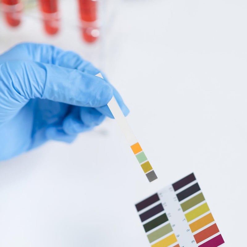 4 Color pH Test Strips 0 14 For Skin Food Water Soil Aquarium With Portable Case - Image 5