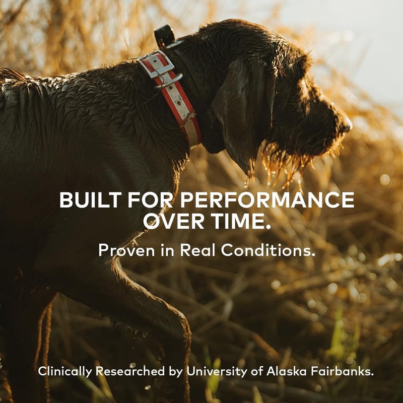 Furvor Beef Mobility Support Bone Broth Concentrate for Dogs - Collagen Protein Supplement - Boosted w/Amino Acids, Glucosamine, and Chondroitin - Dog Food Topper - Human Grade (16 oz, 30 Servings) - Image 5