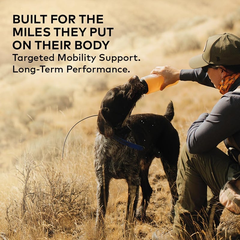 Furvor Beef Mobility Support Bone Broth Concentrate for Dogs - Collagen Protein Supplement - Boosted w/Amino Acids, Glucosamine, and Chondroitin - Dog Food Topper - Human Grade (16 oz, 30 Servings) - Image 4