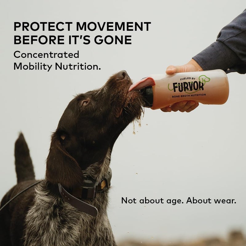 Furvor Beef Mobility Support Bone Broth Concentrate for Dogs - Collagen Protein Supplement - Boosted w/Amino Acids, Glucosamine, and Chondroitin - Dog Food Topper - Human Grade (16 oz, 30 Servings) - Image 1