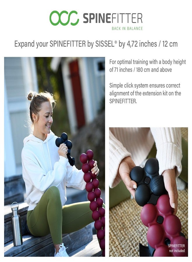 سيسيل طقم تمديد Spinefitter من Sissel® | تمديد بمقدار 12 سم | مثالي للسفر والمكتب | إرخاء اللفافة وتحريك العمود الفقري | أقصى وزن للمستخدم 150 كجم | يتضمن موصلًا وتعليمات - Image 2