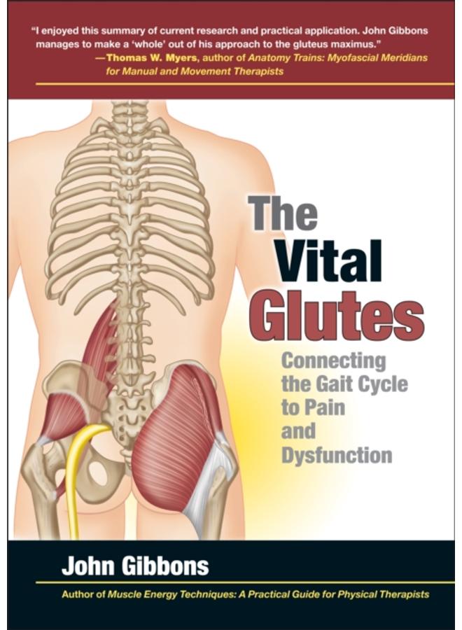 The Vital Glutes : Connecting the Gait Cycle to Pain and Dysfunction 