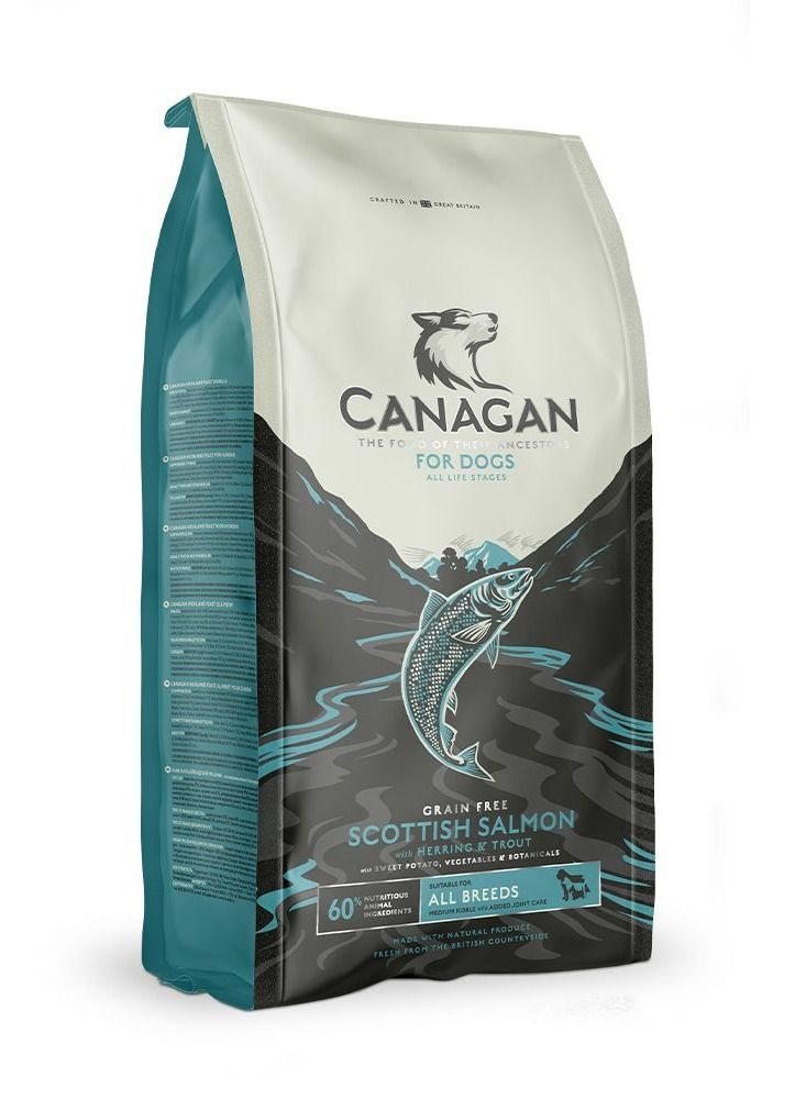 Canagan Scottish Salmon for Dogs Dry Food 12kg - Image 1