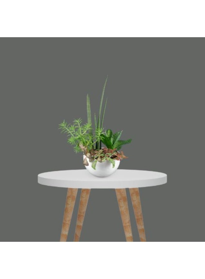 PROMAGE Paper Background Backdrop Roll 1.35m x 11m Thunder Grey PM-PB57 HF Seamless Photography Backdrop for Studio Portrait Product Video Shoot Durable Professional Quality - Image 2