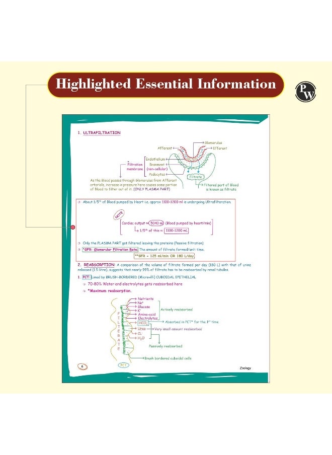 null - Physics Wallah Zoology: Med Easy - Image 1
