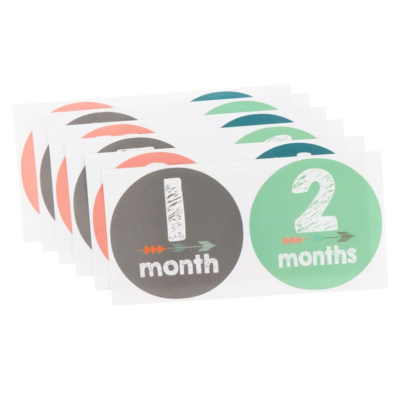 12Pcs Milestone Stickers for Newborn Photo Shoots Self Adhesive Monthly Decals - Image 2