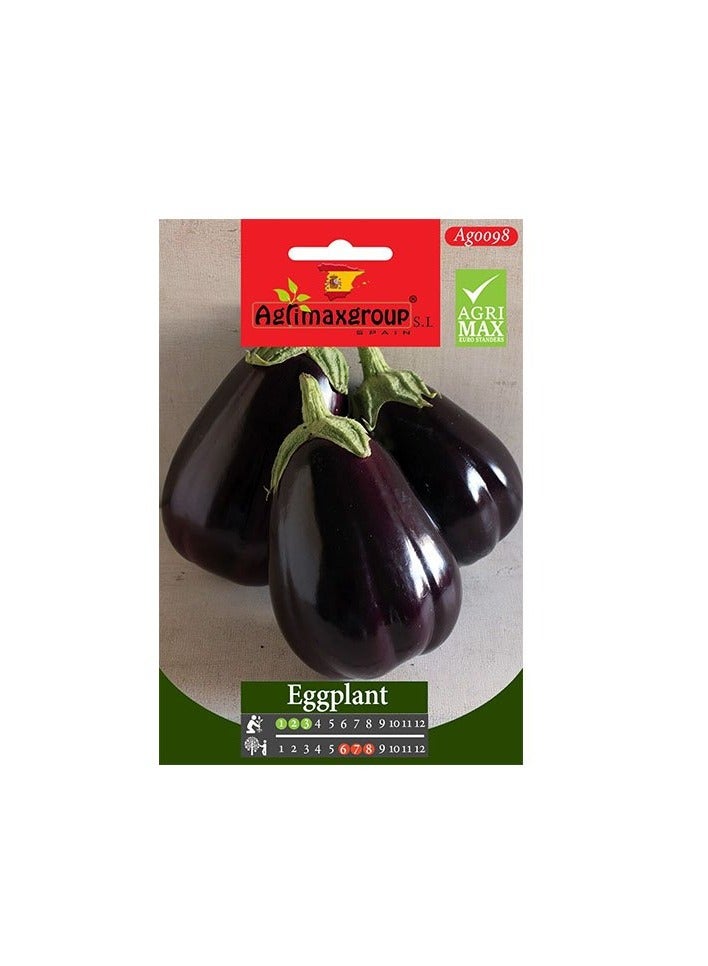 كنب بذور الباذنجان 