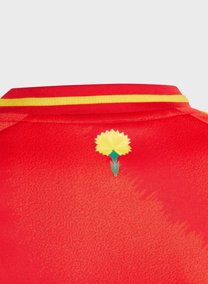 Adidas Youth Spain Home Jersey