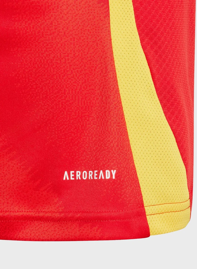 Adidas Youth Spain Home Jersey