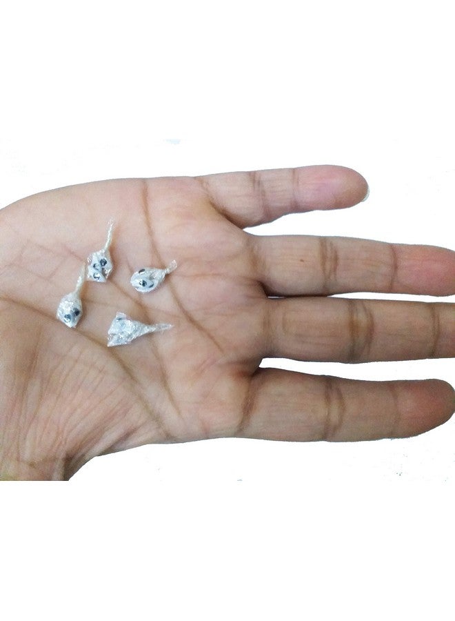 دينشاك DHINCHAK ® عيون صغيرة أصلية من Bhagwan للمنزل - (أبيض، مقاس رقم 0) 8 أزواج - Image 3