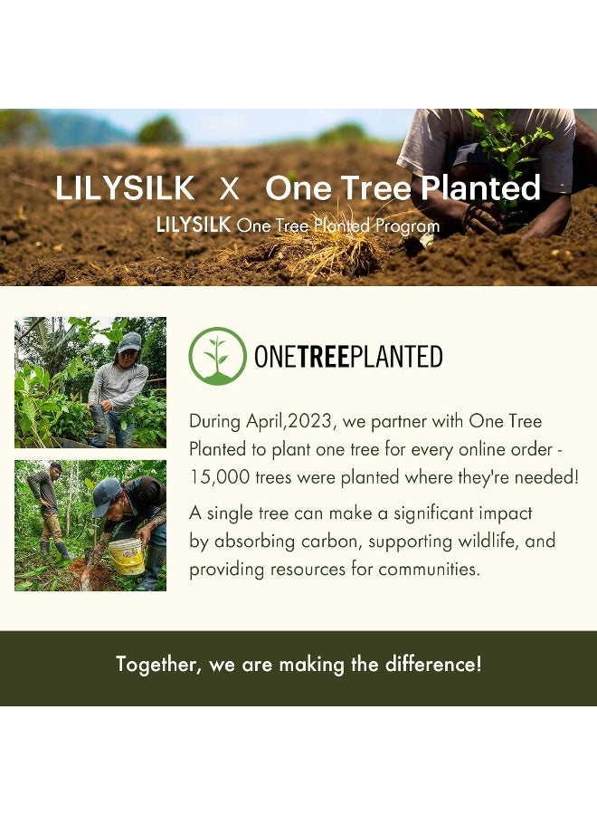 LilySilk غطاء وسادة حرير LILYSILK للشعر والبشرة - 100% حرير توت 19 موم - Image 2