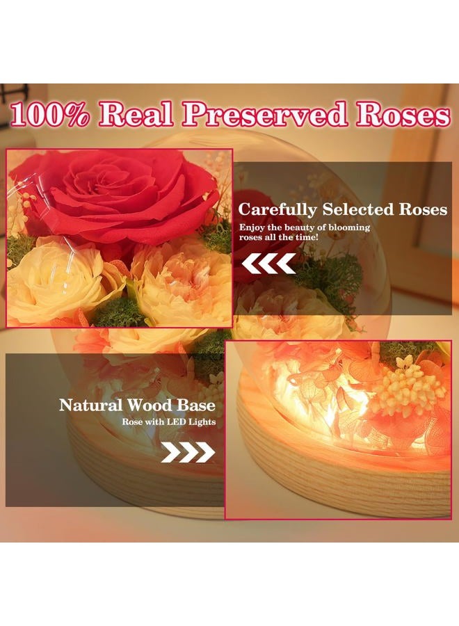 FIACO Mothers Day Mom Gifts for Women Preserved Rose Forever Fresh Flowers for Delivery Prime Mother's Day Birthday Gifts for Grandma Daughter Sister Wife Pink Eternal Roses in Glass Dome - Image 4