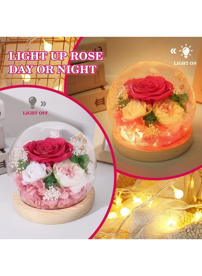 FIACO Mothers Day Mom Gifts for Women Preserved Rose Forever Fresh Flowers for Delivery Prime Mother's Day Birthday Gifts for Grandma Daughter Sister Wife Pink Eternal Roses in Glass Dome - Image 3
