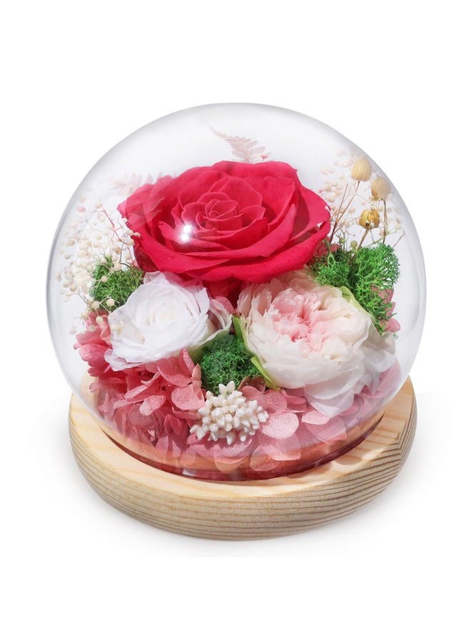 FIACO Mothers Day Mom Gifts for Women Preserved Rose Forever Fresh Flowers for Delivery Prime Mother's Day Birthday Gifts for Grandma Daughter Sister Wife Pink Eternal Roses in Glass Dome - Image 1