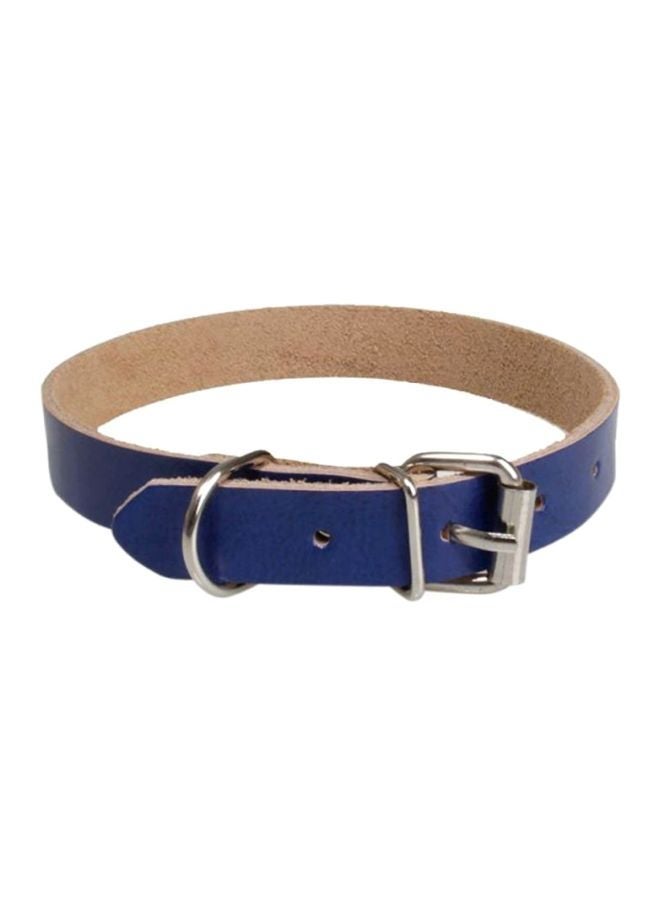 NIBEMINENT Nylon Dog Leash Blue S - Image 1