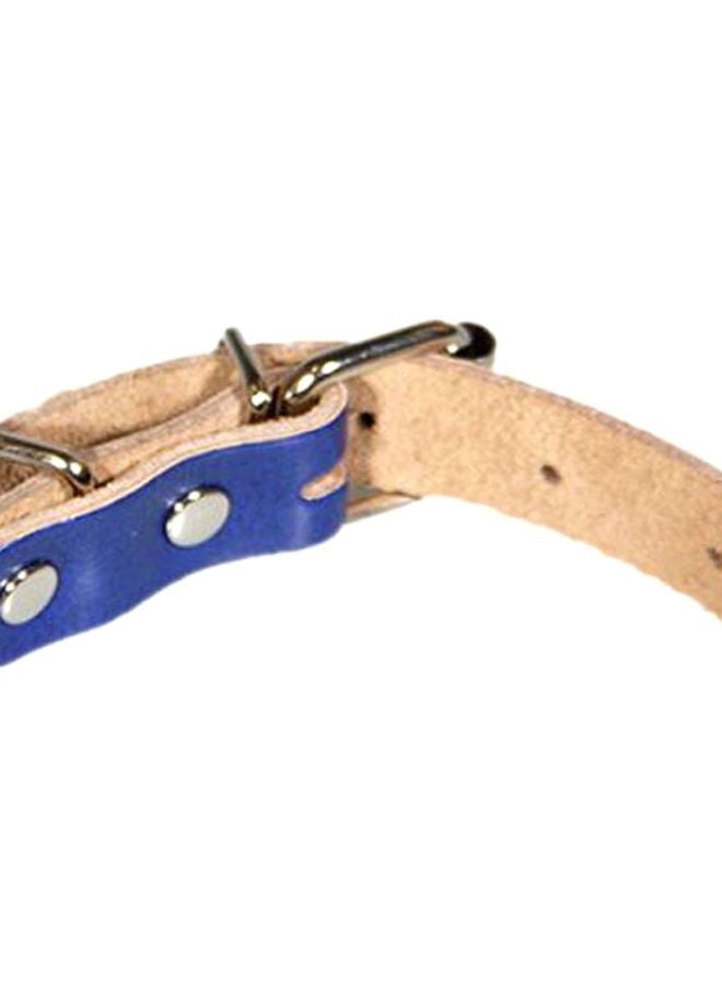 NIBEMINENT Nylon Dog Leash Blue S - Image 2
